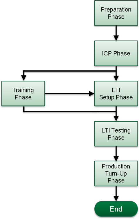 LTI Process Overview